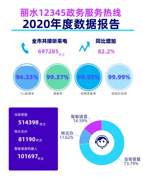 麗水市12345政務服務熱線2020年度數據報告 數據處理服務的核心價值與未來展望