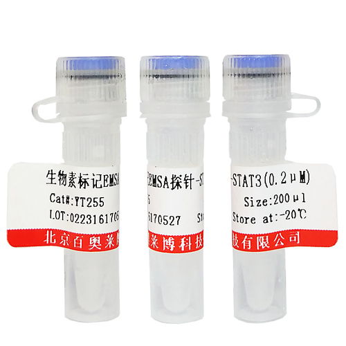 非臨床診斷用生物試劑采購(gòu)指南 染色試劑價(jià)格與供應(yīng)商信息解析