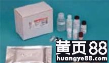 探索生命科學邊界 武漢市古泰生物技術(shù)有限責任公司主營試劑、抗體與耗材業(yè)務解析